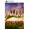 Grounded PS4/PS5